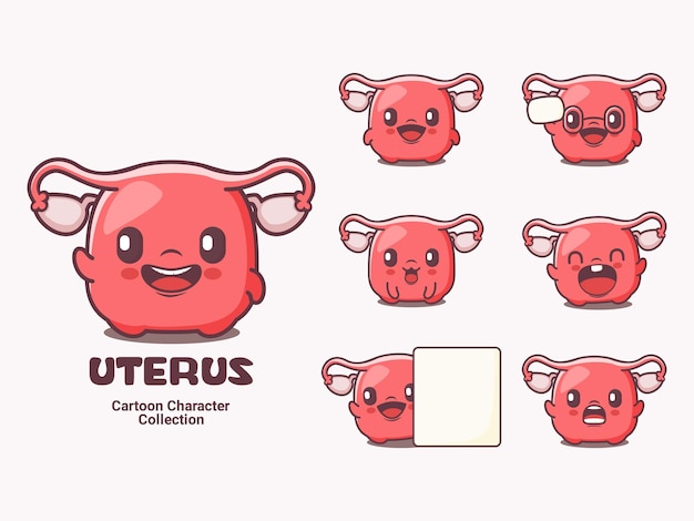 Uterus organ cartoon character vector illustration