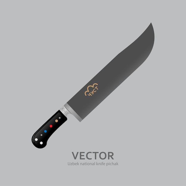 Vector uzbek national craft knifei