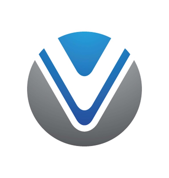 Шаблон логотипа V