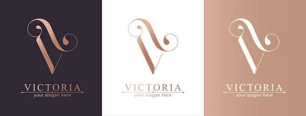 Vector v-logo v brief logo sjabloon elementen persoonlijk monogram vector elegant logo