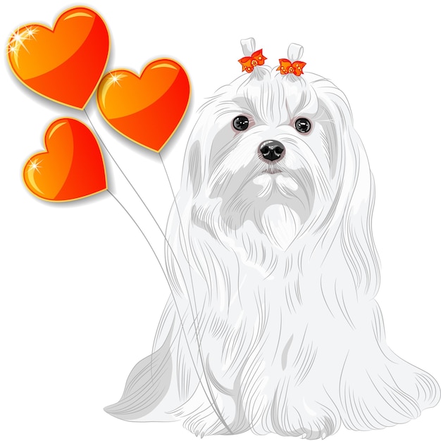 Vector valentine card with dog maltese and hearts