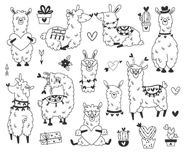 Valentine llama collection