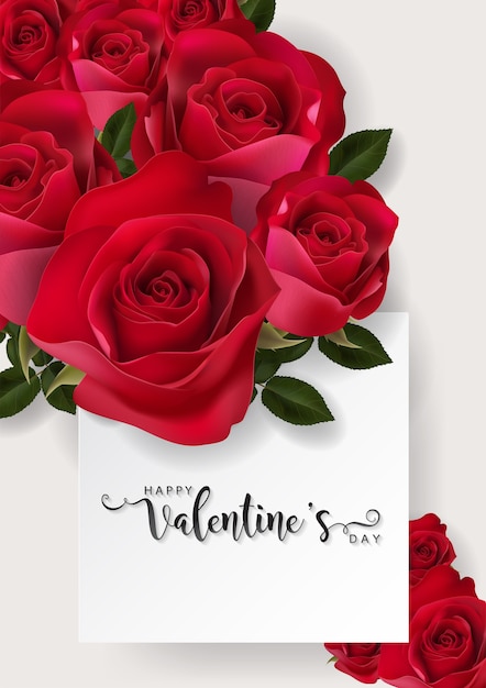 Vector valentine's day greeting card templates.