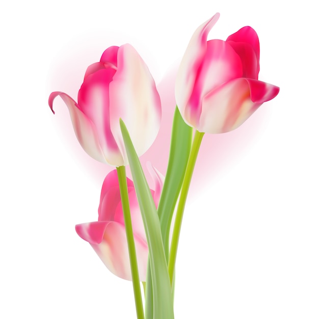 Vector valentine's day template tulips design.