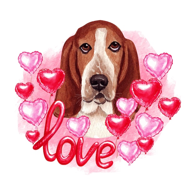 Vettore san valentino basset hound dog con cuori e amore. illustrazione dell'acquerello.