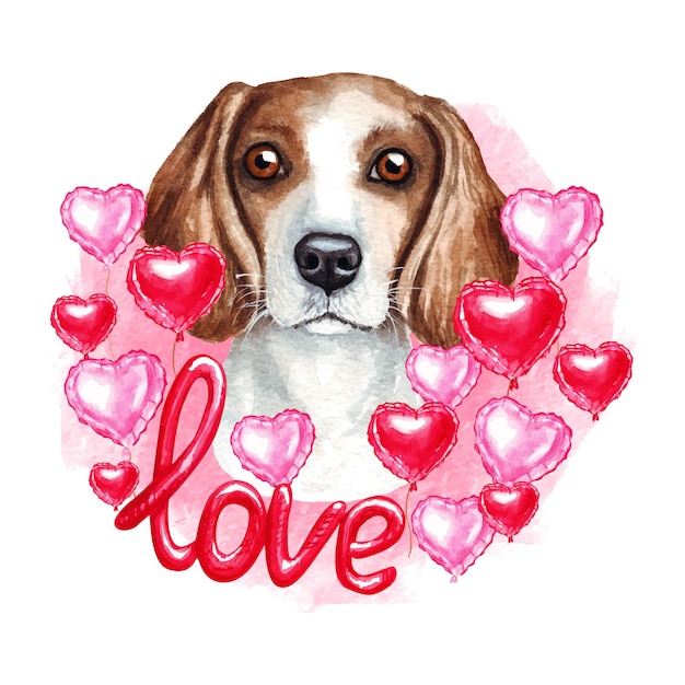 Vector valentines day beagle dog with hearts and love. watercolor illustration.