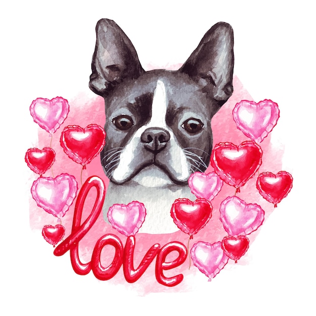 Vettore san valentino boston terrier cane con amore e cuori. illustrazione sveglia del cucciolo dell'amante del cane.