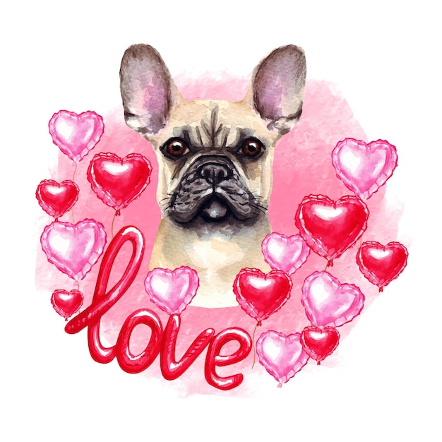 Bulldog francese di san valentino con cuori e amore. illustrazione dell'acquerello.