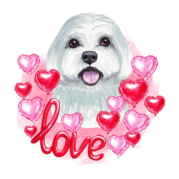 Vettore cane maltese di san valentino con amore e cuori. illustrazione sveglia del cucciolo dell'amante del cane.