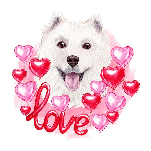 Vector valentines day samoyed dog with hearts and love. watercolor illustration.