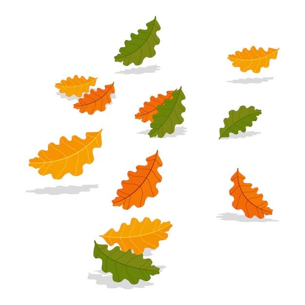 Vallende herfst eikenbladeren geïsoleerd op wit. cartoon afbeelding.