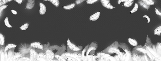 Vallende veer achtergrond Realistische 3d pluizige vogel verenkleed voor reclame Gladde rand voor horizontale banner Decoratief frame poster of flyer vector geïsoleerde gans of zwaan ganzenveer