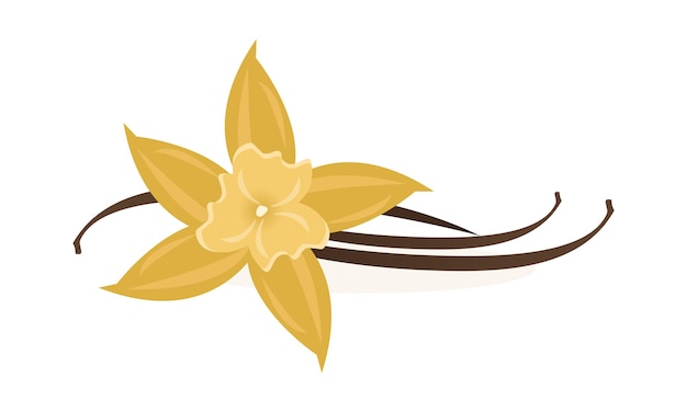 Vector vanilla flower