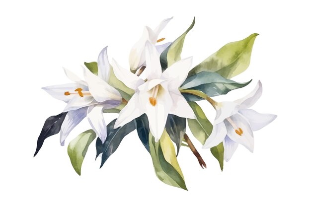 バニラの花、自然、植物の装飾的なコレクション ベクトル イラスト分離コレクション トロピカル リーフ セット