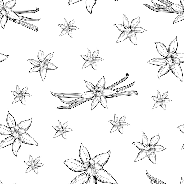 Vector vanilla pattern