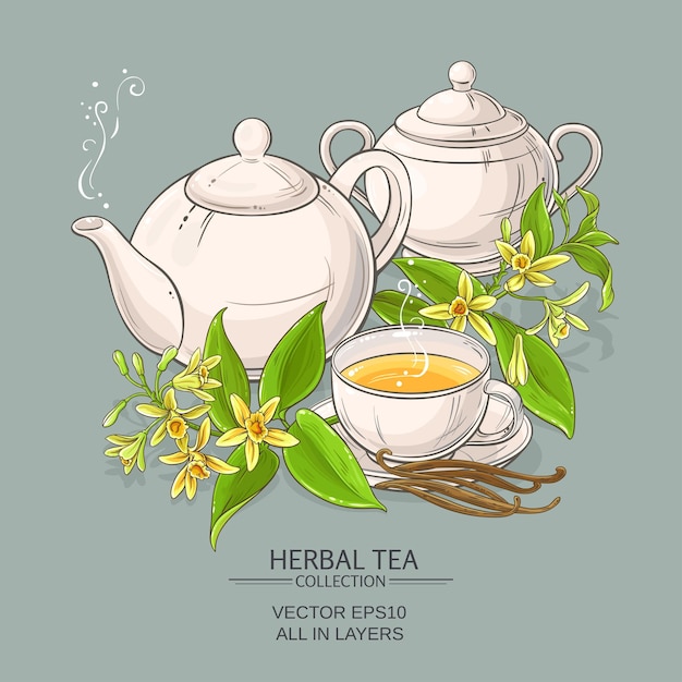 Vector vanilla tea illustration