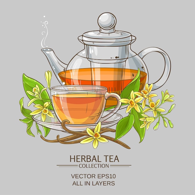 Vector vanilla tea illustration