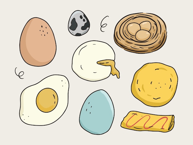 Vettore variazione del disegno delle uova. uova di anatra, uova di quaglia, uova sul nido, uova fritte.