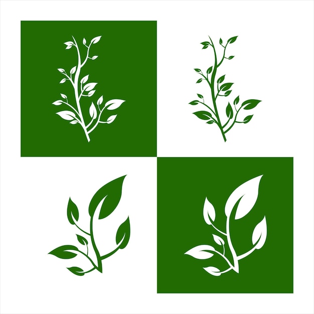 вариация зеленых листьев и иллюстрации ветвей