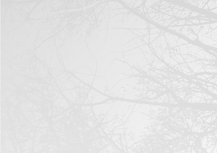 Vector varied texture background