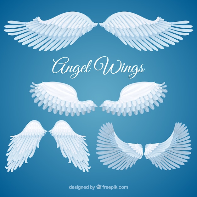 Variety of angel wings