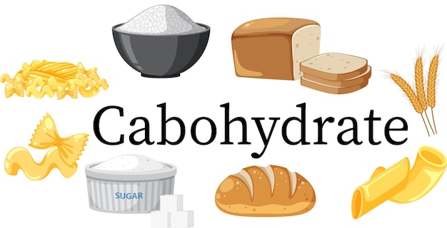 Vector variety of carbohydrates foods vector