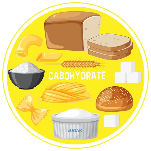 Vector variety of carbohydrates foods