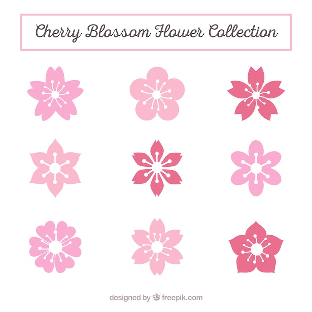 variety of cherry blossoms