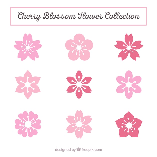 Vector variety of cherry blossoms