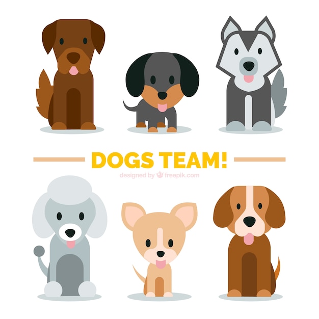 Vector variety of cute puppies in flat design