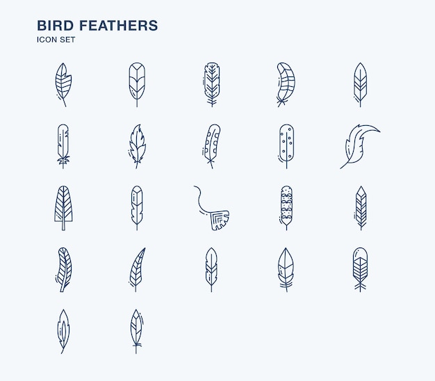 Variety of feather quotes