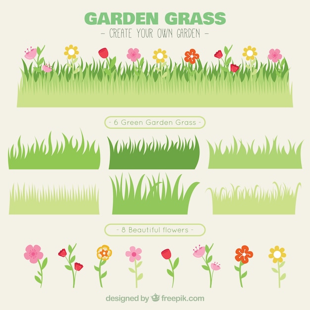 Varietà di erba con fiori