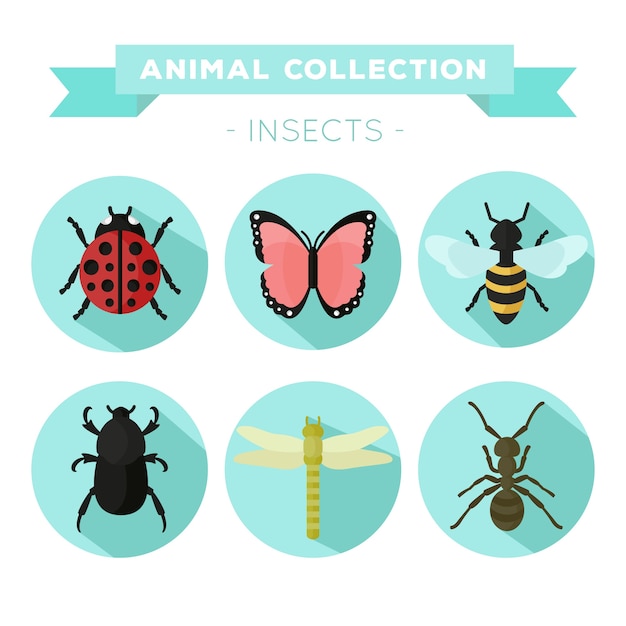 Variety of insects in flat design