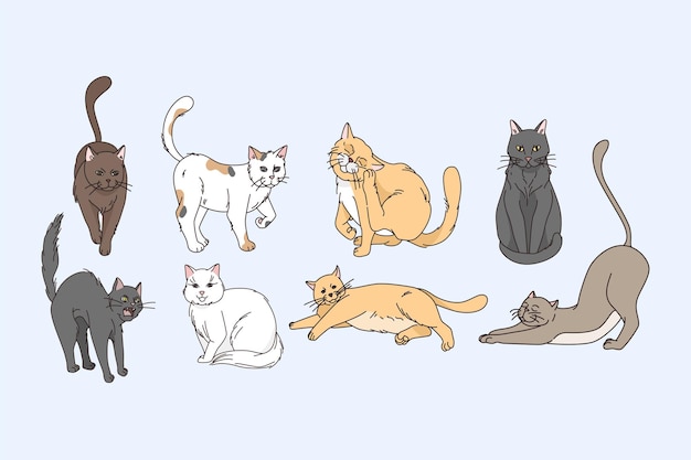 다양한 고양이 동물 개념