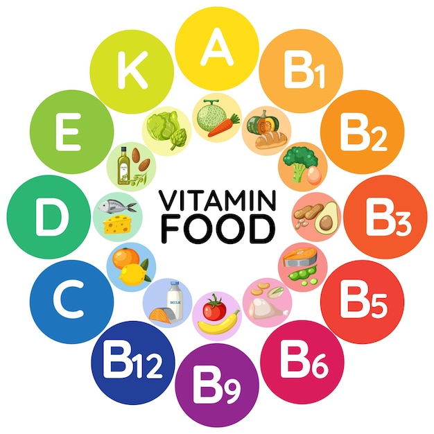 ベクトル ビタミン含有量によって分類された食品グループの多様性