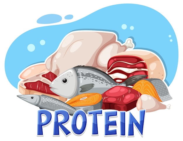 Variety of protein foods