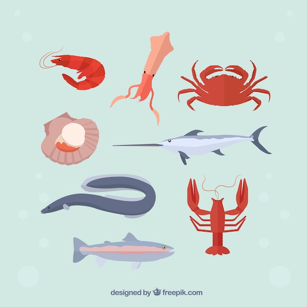 Variety of seafood