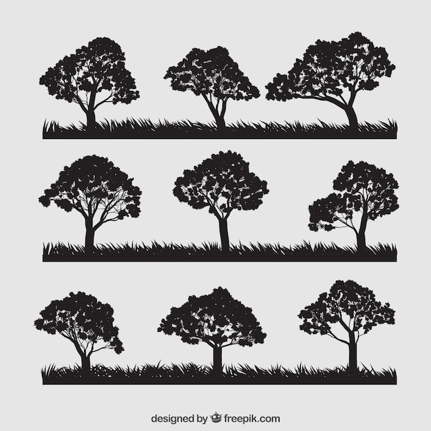 Variety of tree silhouettes