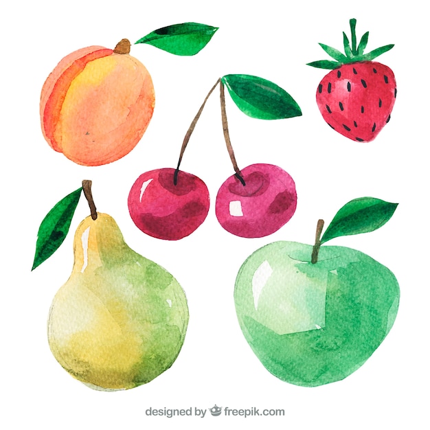 Variety of watercolor pieces of fruit