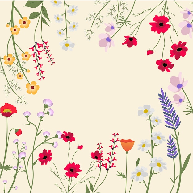 Variety of Wild Flowers Illustration