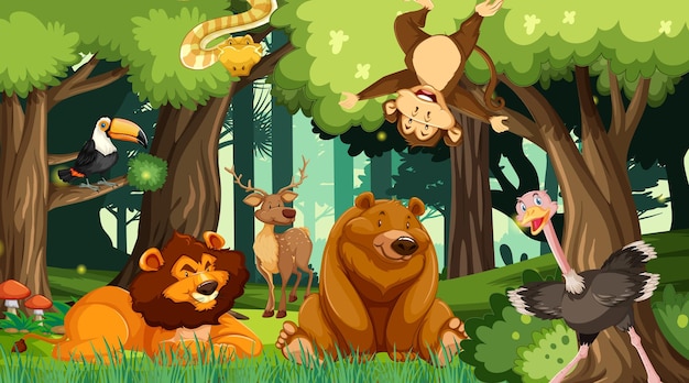 Vector various animals in the forest