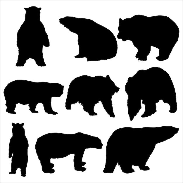 Various bear silhouettes on the white background