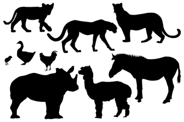 Various Beautiful Animal Silhouette Designs