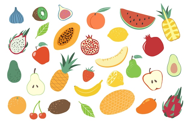 Vector various colorful fruits collection