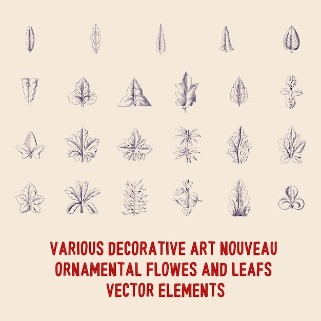 Various decorative art nouveau flowes and leafs ornamental vector elements