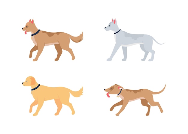 さまざまな犬種のフラットな詳細な文字セット。家畜。首輪をつけて歩く子犬。ペット ケア分離漫画コレクション