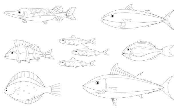 ベクトルデザインで本を描くための色のない様々な魚の絵