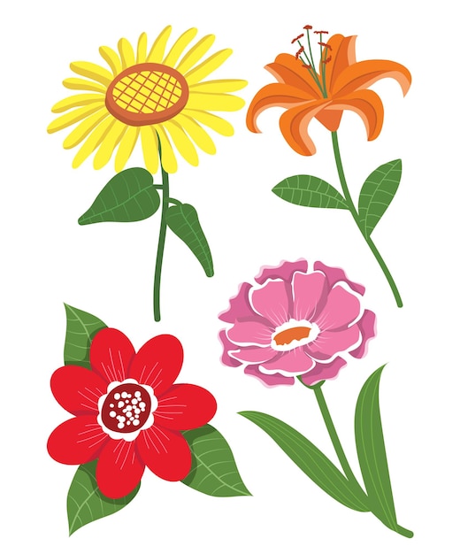 Various Flower Illustration Vector bundle