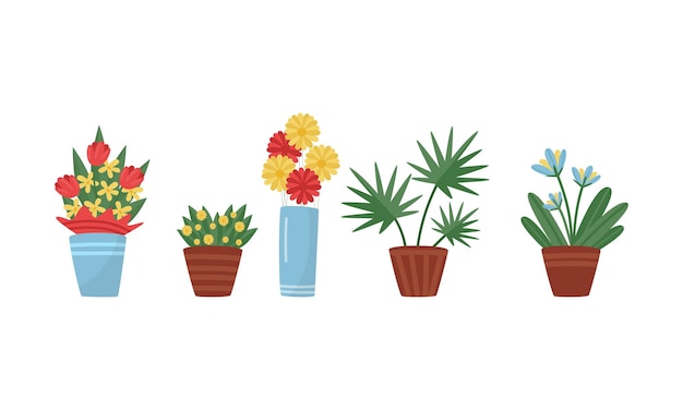 Various Flowers Growing in Pots Vector Set Interior Decoration Concept