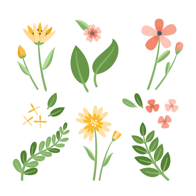Various flowers with leaves flat design collection